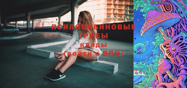 стафф Аркадак