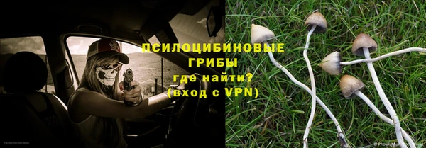сатива Арсеньев