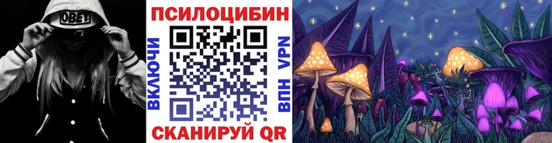 Галлюциногенные грибы Psilocybe ссылка на мегу рабочий сайт Плавск